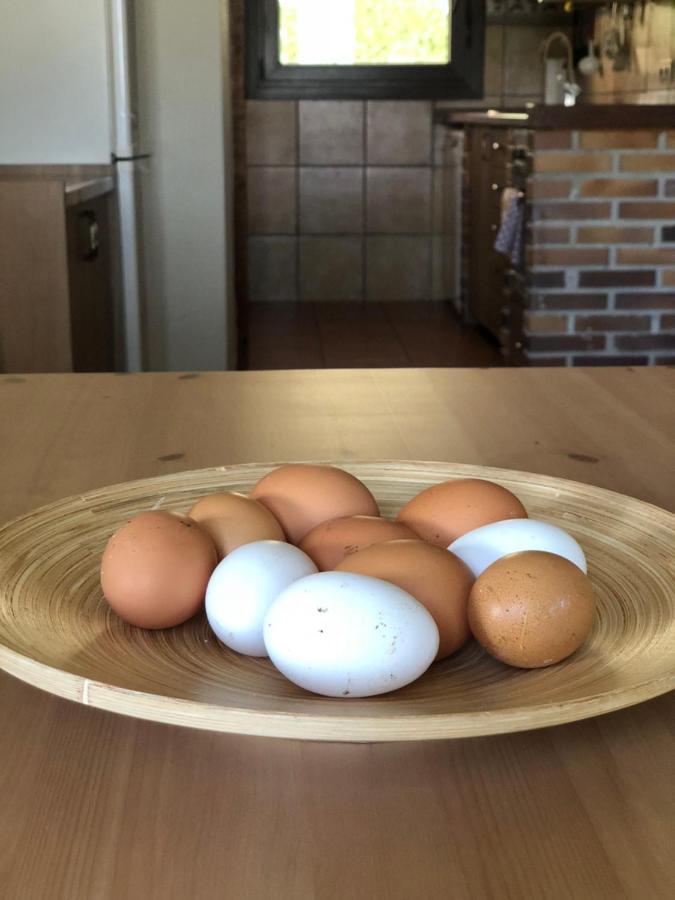 Casa Rural En Plena Naturaleza Lic Uvtr1524 Eguillor Zewnętrze zdjęcie