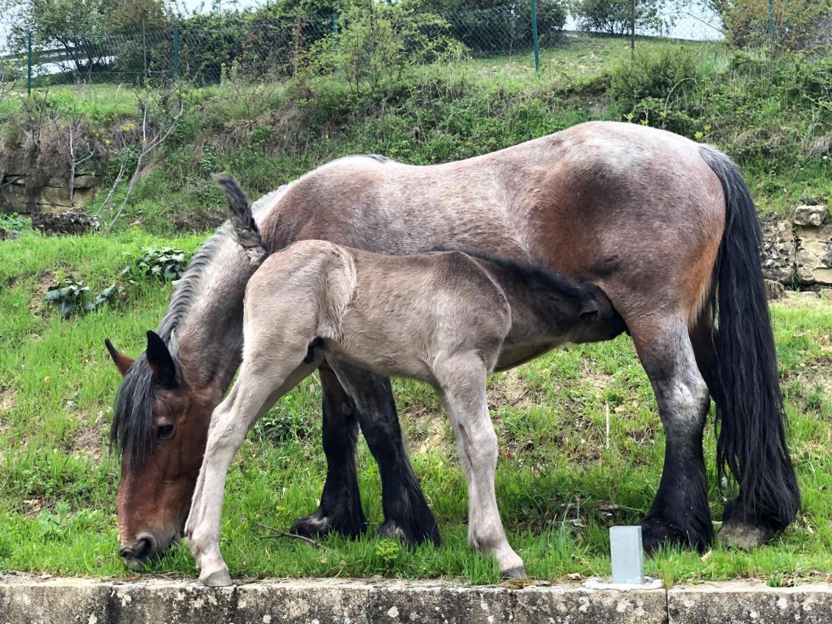 Casa Rural En Plena Naturaleza Lic Uvtr1524 Eguillor Zewnętrze zdjęcie