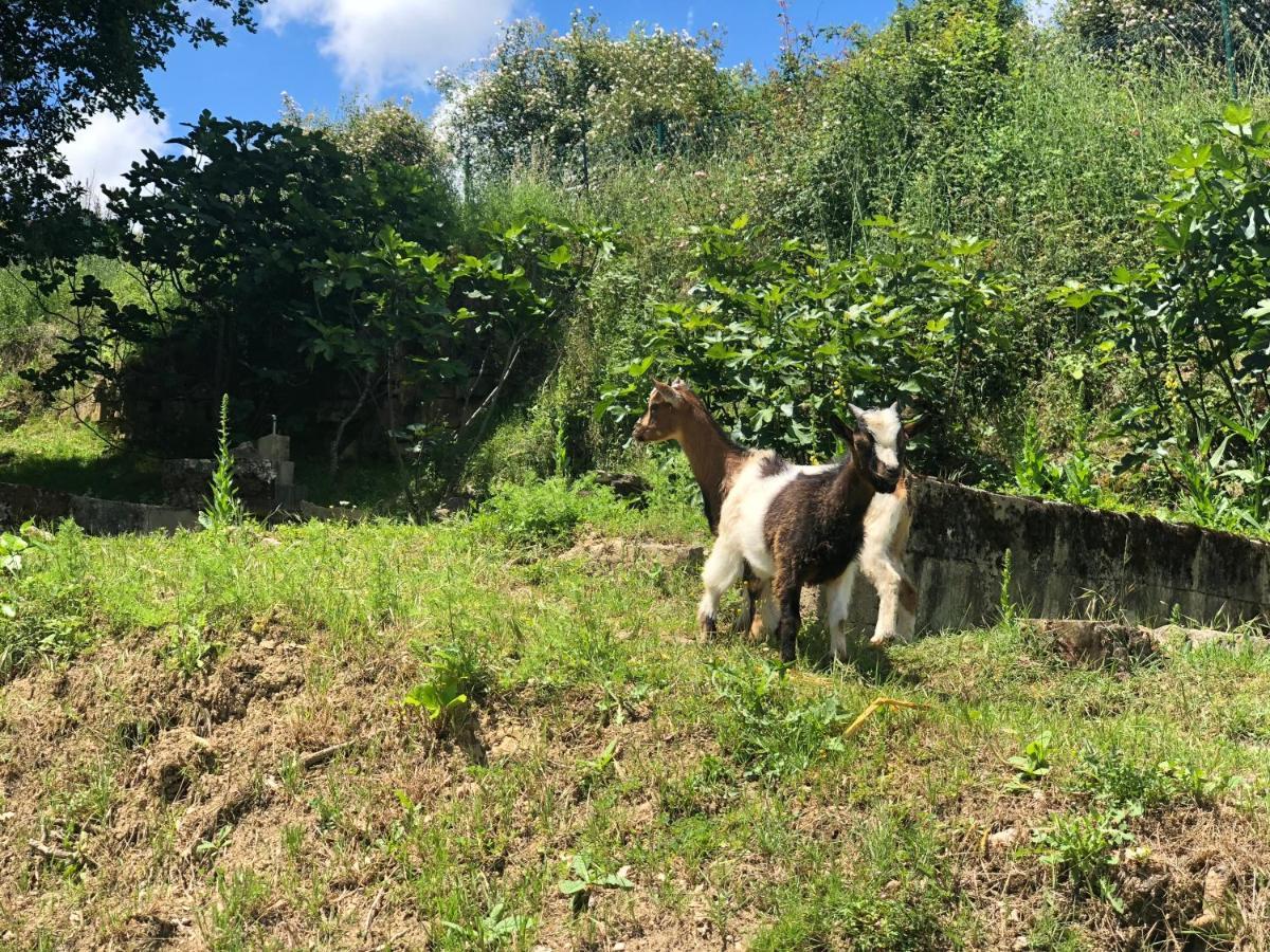 Casa Rural En Plena Naturaleza Lic Uvtr1524 Eguillor Zewnętrze zdjęcie