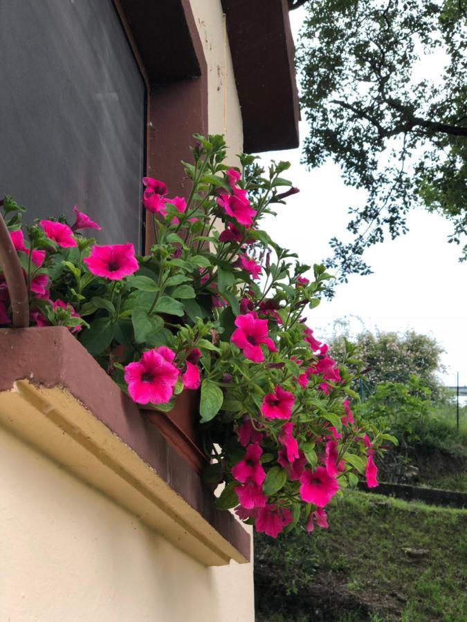 Casa Rural En Plena Naturaleza Lic Uvtr1524 Eguillor Zewnętrze zdjęcie