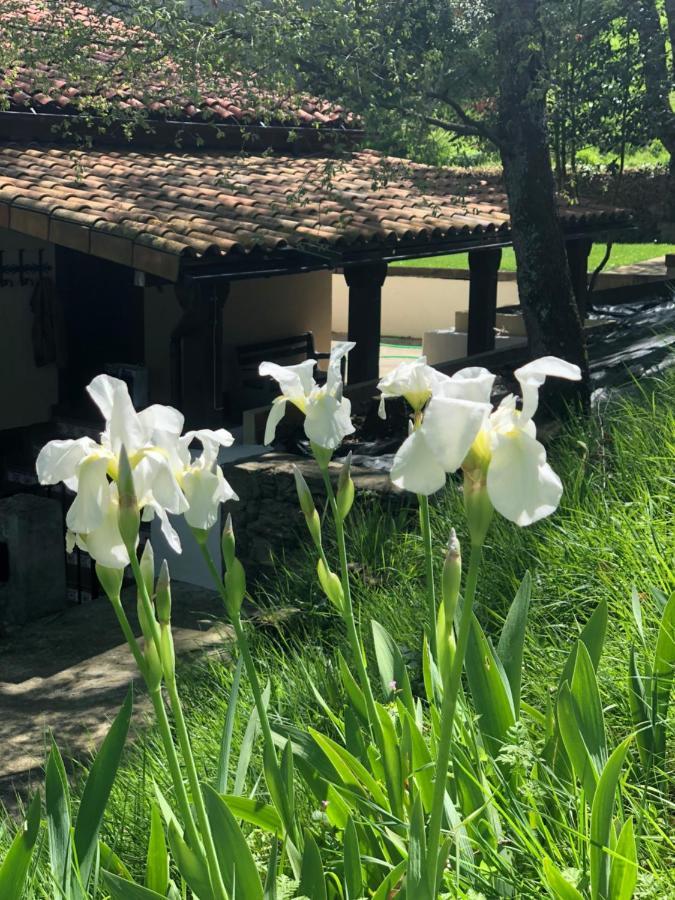 Casa Rural En Plena Naturaleza Lic Uvtr1524 Eguillor Zewnętrze zdjęcie