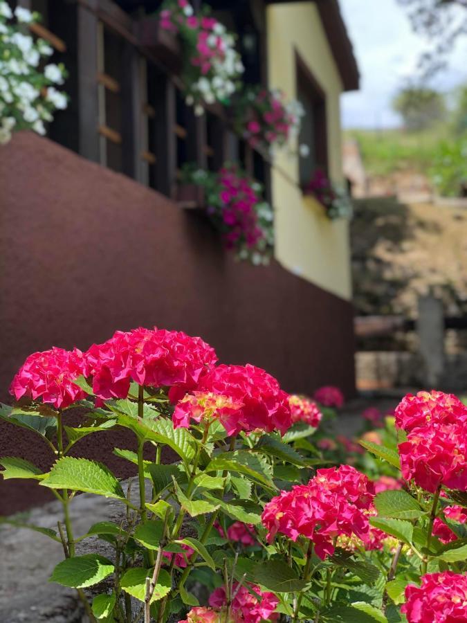 Casa Rural En Plena Naturaleza Lic Uvtr1524 Eguillor Zewnętrze zdjęcie
