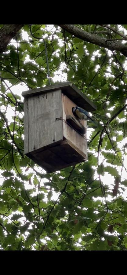 Casa Rural En Plena Naturaleza Lic Uvtr1524 Eguillor Zewnętrze zdjęcie